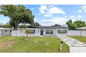 7811 Egypt Lake Dr, TAMPA