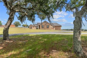 17290 W HIGHWAY 328, DUNNELLON, FL 34432 - MLS#MFRTB8418491