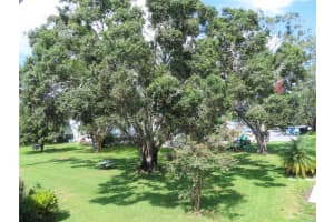 300 CLYDE LANE, DUNEDIN, FL 34698 - MLS#MFRTB8418526