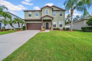 2605 Holly Bluff Ct, PLANT CITY