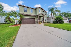 2605 HOLLY BLUFF COURT, PLANT CITY, FL 33566 - MLS#MFRTB8418557