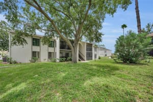 2666 PINE RIDGE WAY, PALM HARBOR, FL 34684 - MLS#MFRTB8418562