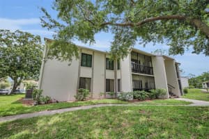 2666 PINE RIDGE WAY, PALM HARBOR, FL 34684 - MLS#MFRTB8418562