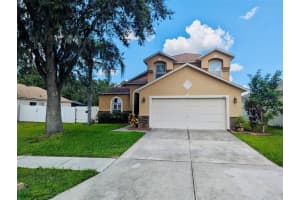 31141 Harthorn Ct, WESLEY CHAPEL
