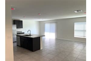 12068 DOWNY BIRCH DRIVE, RIVERVIEW, FL 33569 - MLS#MFRTB8418591