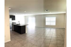 12068 DOWNY BIRCH DRIVE, RIVERVIEW, FL 33569 - MLS#MFRTB8418591