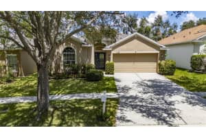 1152 Emerald Hill Way, VALRICO