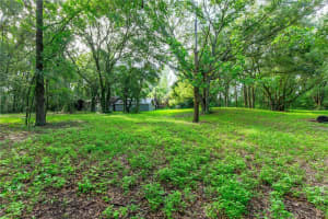28616 TUPPER ROAD, WESLEY CHAPEL, FL 33545 - MLS#MFRTB8418606