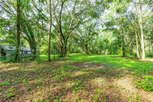 28616 TUPPER ROAD, WESLEY CHAPEL, FL 33545 - MLS#MFRTB8418606
