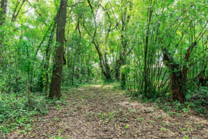 28616 TUPPER ROAD, WESLEY CHAPEL, FL 33545 - MLS#MFRTB8418606