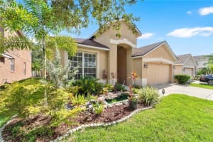 10229 AVELAR RIDGE DRIVE, RIVERVIEW, FL 33578 - MLS#MFRTB8418613