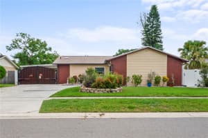 4912 Hi Vista Cir, TAMPA