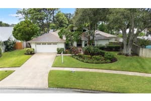 14210 CLARENDON DRIVE, TAMPA, FL 33624 - MLS#MFRTB8418633
