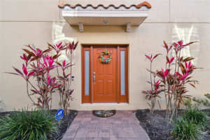 8747 TERRACINA LAKE DRIVE, TAMPA, FL 33625 - MLS#MFRTB8418661