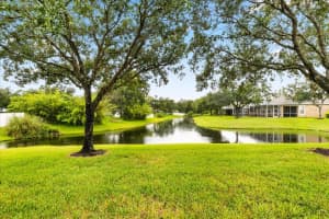 19128 LAKE AUDUBON DRIVE, TAMPA, FL 33647 - MLS#MFRTB8418691