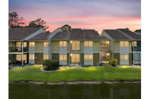 13389 Arbor Pointe Cir #203, TAMPA