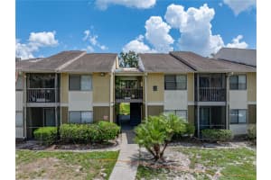 13389 ARBOR POINTE CIRCLE, TAMPA, FL 33617 - MLS#MFRTB8418698