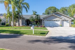 1005 CHATHAM COURT, SAFETY HARBOR, FL 34695 - MLS#MFRTB8418702
