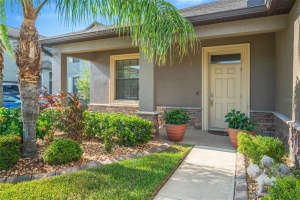 11628 BRIGHTON KNOLL LOOP, RIVERVIEW, FL 33579 - MLS#MFRTB8418710