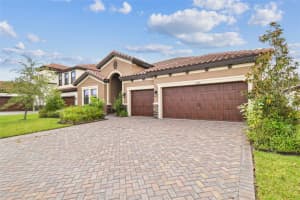 11458 RANCHERS GAP DRIVE, ODESSA, FL 33556 - MLS#MFRTB8418734