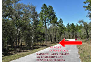 LOMBARDY LANE, DUNNELLON, FL 34431 - MLS#MFRTB8418738