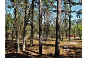 LOMBARDY LANE, DUNNELLON, FL 34431 - MLS#MFRTB8418738