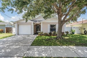 6712 S Elemeta St, TAMPA