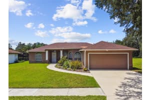 6943 STEPHENS PATH, ZEPHYRHILLS, FL 33542 - MLS#MFRTB8418778