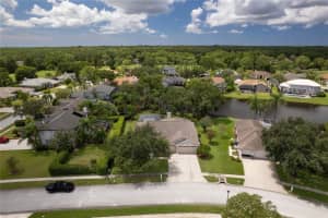 16304 COLWOOD DRIVE, ODESSA, FL 33556 - MLS#MFRTB8418787