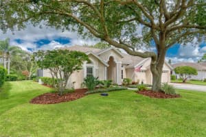 16304 COLWOOD DRIVE, ODESSA, FL 33556 - MLS#MFRTB8418787