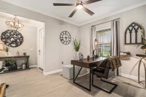 17059 SHELL BAY DRIVE, LAND O LAKES, FL 34638 Sold 10/10/25