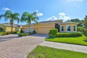 658 CHIPPER DRIVE, SUN CITY CENTER, FL 33573 - MLS#MFRTB8418814