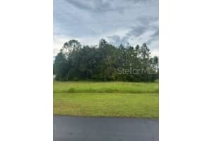 8225 WOODLEAF BOULEVARD, WESLEY CHAPEL, FL 33544 Sold 09/25/25
