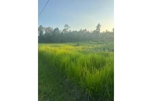 8225 WOODLEAF BOULEVARD, WESLEY CHAPEL, FL 33544 Sold 09/25/25