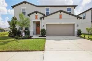 13607 Palmera Vista Dr, RIVERVIEW