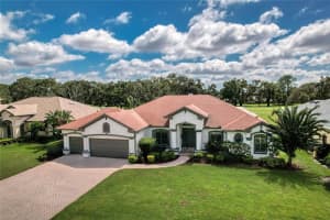 12514 EAGLES ENTRY DRIVE, ODESSA, FL 33556 - MLS#MFRTB8418857