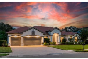 12514 EAGLES ENTRY DRIVE, ODESSA, FL 33556 - MLS#MFRTB8418857