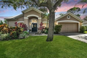 10515 Chambers Dr, TAMPA