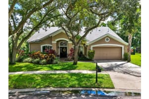 10515 CHAMBERS DRIVE, TAMPA, FL 33626 - MLS#MFRTB8418858