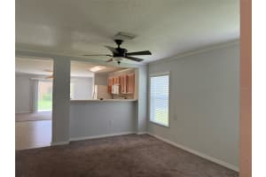 6907 MARBLE FAWN PLACE, RIVERVIEW, FL 33578 - MLS#MFRTB8418869