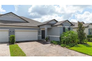 9776 Campanula Ct, LAND O LAKES