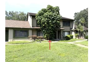7903 Sugarcane Ct, TEMPLE TERRACE