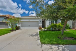 11890 FROST ASTER DRIVE, RIVERVIEW, FL 33579 - MLS#MFRTB8418970