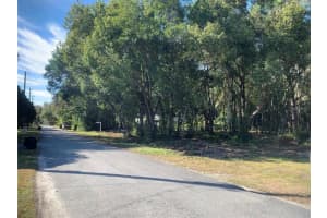 DVORAK DR, SPRING HILL, FL 34610 - MLS#MFRTB8418974