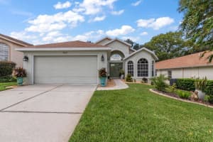 367 Quane Ave, SPRING HILL
