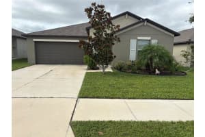11307 Misty Moss Dr, WIMAUMA