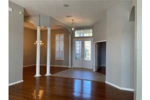 16143 IVY LAKE DR, ODESSA, FL 33556 - MLS#MFRTB8418996
