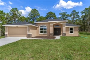 15448 BOLD IBIS COURT, WEEKI WACHEE, FL 34614 - MLS#MFRTB8419038
