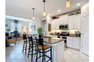 31734 CABANA RYE AVENUE, SAN ANTONIO, FL 33576 Sold 10/24/25