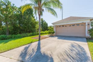 31436 TRIBOROUGH DRIVE, WESLEY CHAPEL, FL 33545 Sold 11/20/25